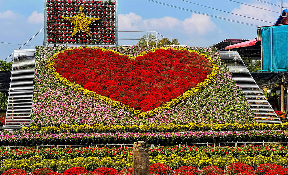 Cả ngàn giống hoa - kiểng tại 'Không gian sắc hoa Sa Đéc'