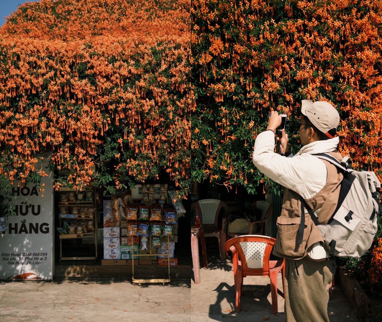 Ngôi nhà gỗ phủ đầy hoa chùm ớt níu chân du khách Tết này