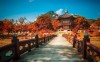 Gyeongbukgung Palace Seoul Autumn Leaves Danpoong 1080x664 768x472
