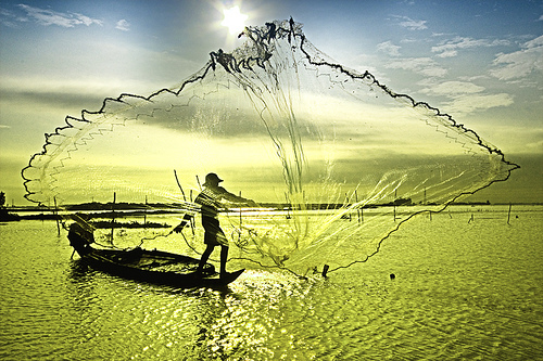 4258309964 22a9bc7023