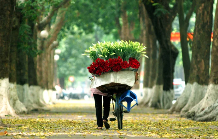 Top 3 điểm đến du lịch mùa thu đẹp nhất Việt Nam mà bạn không nên bỏ lỡ
